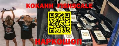 a pvp Гатчина