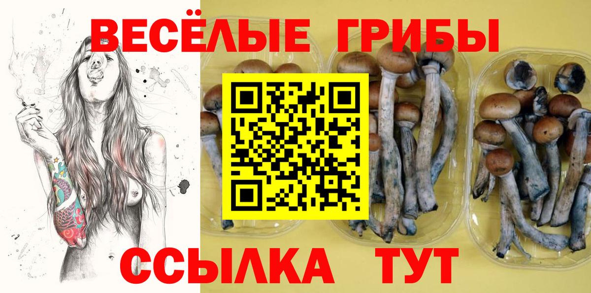 Нарткала  Псилоцибиновые грибы прущие грибы  Псилоцибиновые грибы Magic Shrooms  Вход с VPN 